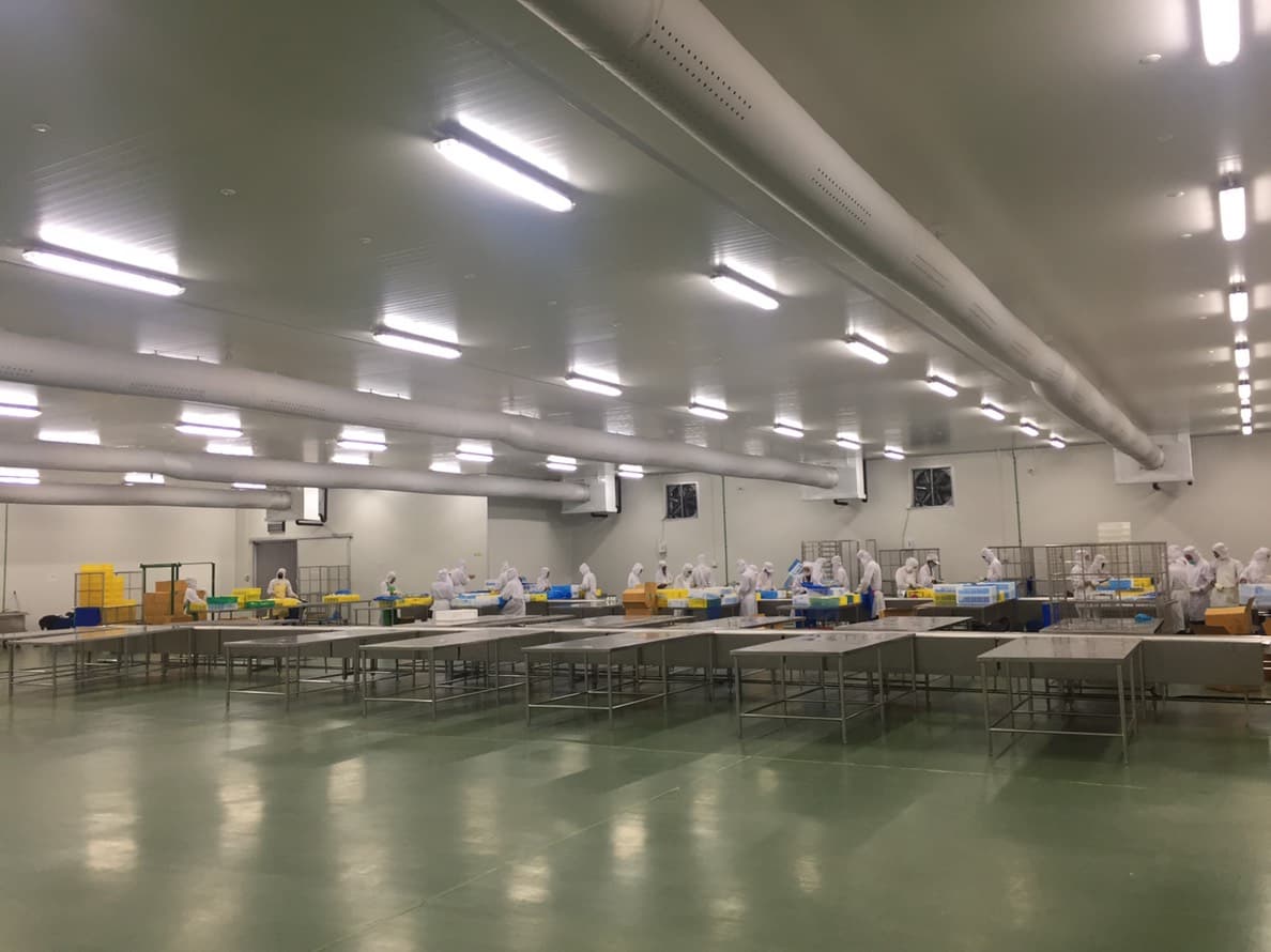 ห้องไลน์ผลิต (Processing Room)